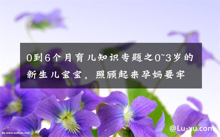 0到6个月育儿知识专题之0~3岁的新生儿宝宝,照顾起来孕妈要牢记三个原则,别老抱在怀里