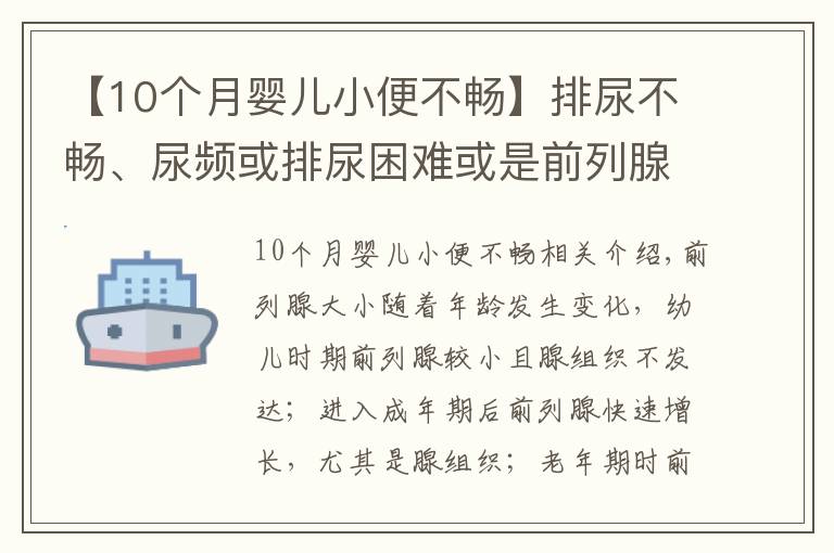 【10个月婴儿小便不畅】排尿不畅、尿频或排尿困难或是前列腺增生来袭?4个方法能诊断