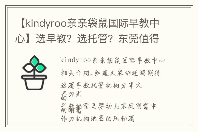 【kindyroo亲亲袋鼠国际早教中心】选早教?选托管?东莞值得推荐的这类机构,在这儿