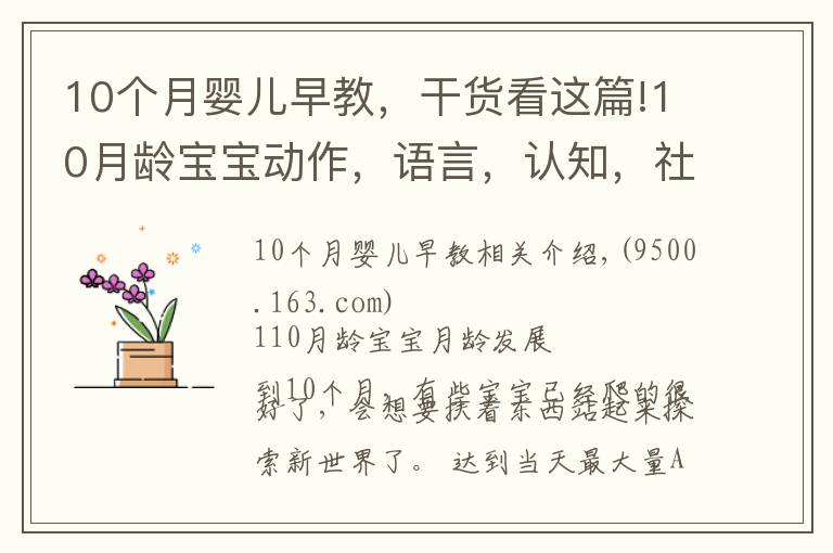 10个月婴儿早教,干货看这篇!10月龄宝宝动作,语言,认知,社会适应全面测评