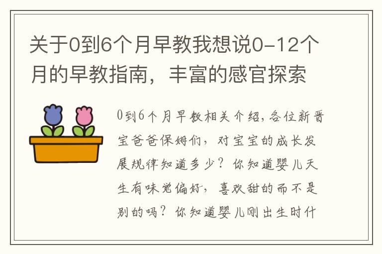关于0到6个月早教我想说0-12个月的早教指南,丰富的感官探索,助宝宝打开人生第一扇窗
