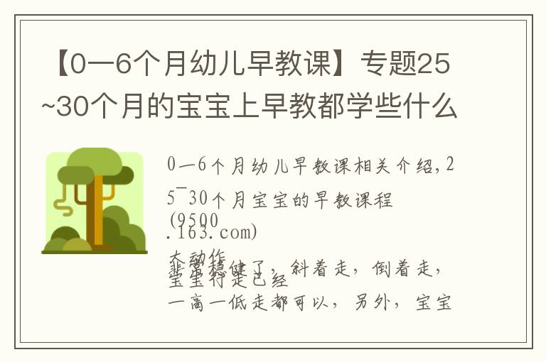 【0一6个月幼儿早教课】专题25~30个月的宝宝上早教都学些什么?看这一篇文章就够了