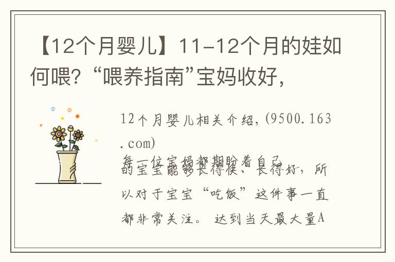【12个月婴儿】11-12个月的娃如何喂？“喂养指南”宝妈收好，孩子长得更快