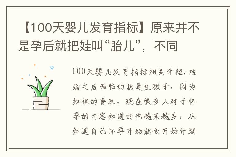 【100天婴儿发育指标】原来并不是孕后就把娃叫“胎儿”,不同阶段的称呼,你听过几个?