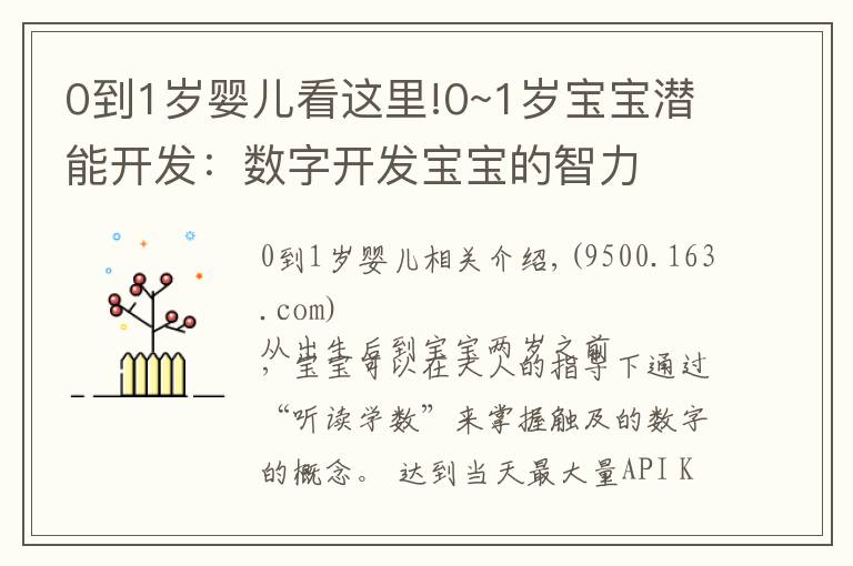 0到1岁婴儿看这里!0~1岁宝宝潜能开发：数字开发宝宝的智力