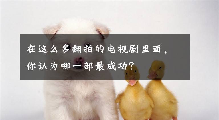 在这么多翻拍的电视剧里面，你认为哪一部最成功？