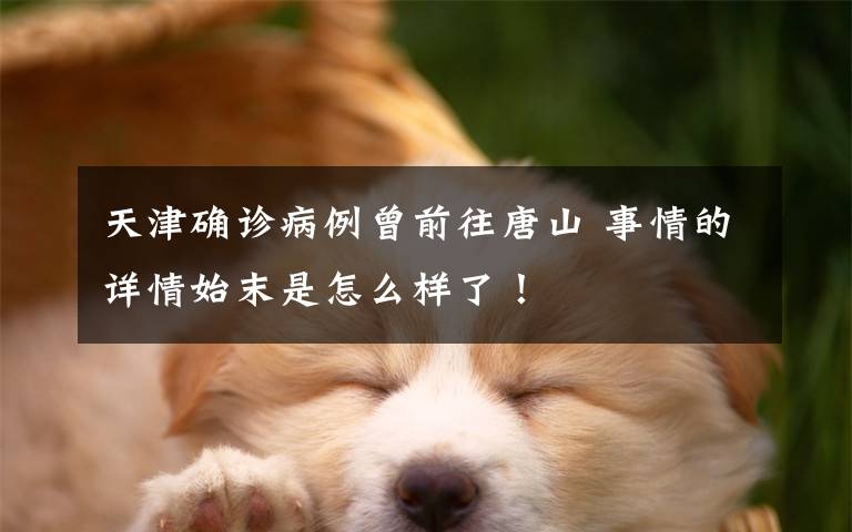 天津确诊病例曾前往唐山 事情的详情始末是怎么样了!