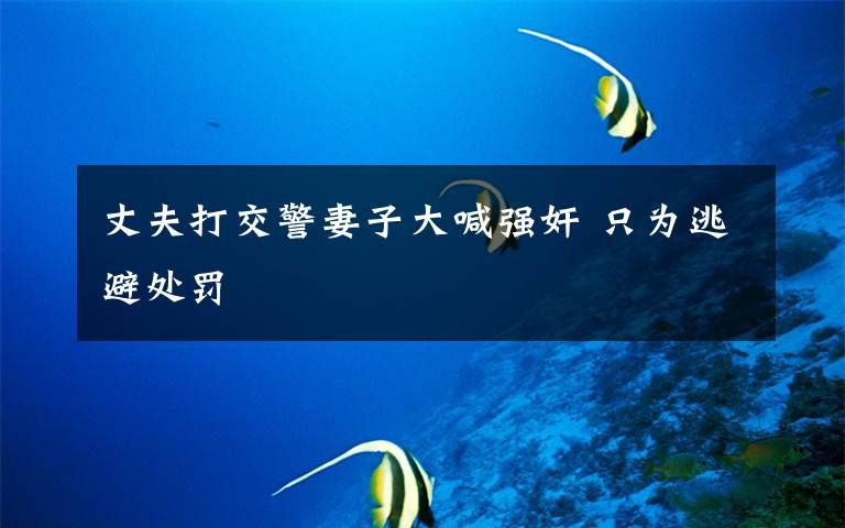 丈夫打交警妻子大喊强奸 只为逃避处罚