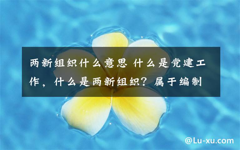 两新组织什么意思 什么是党建工作,什么是两新组织?属于编制吗?