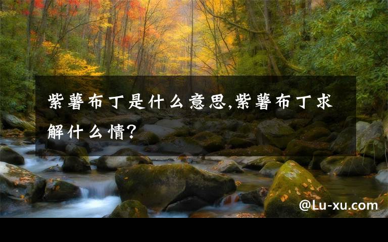 紫薯布丁是什么意思,紫薯布丁求解什么情?