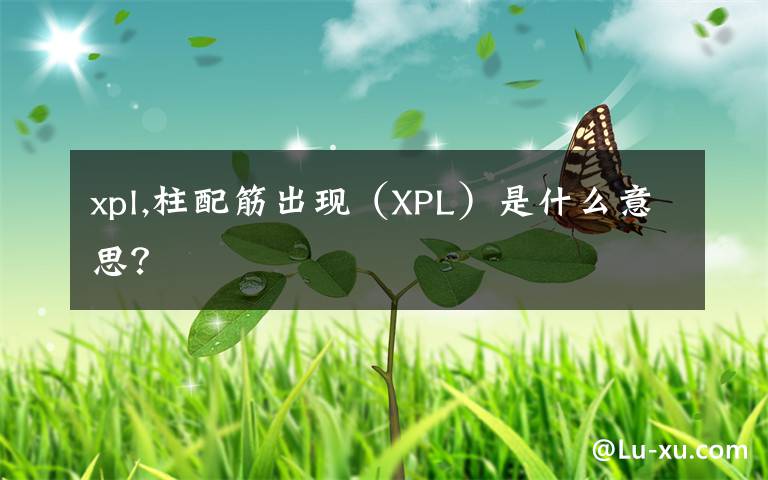 xpl,柱配筋出现（XPL）是什么意思？