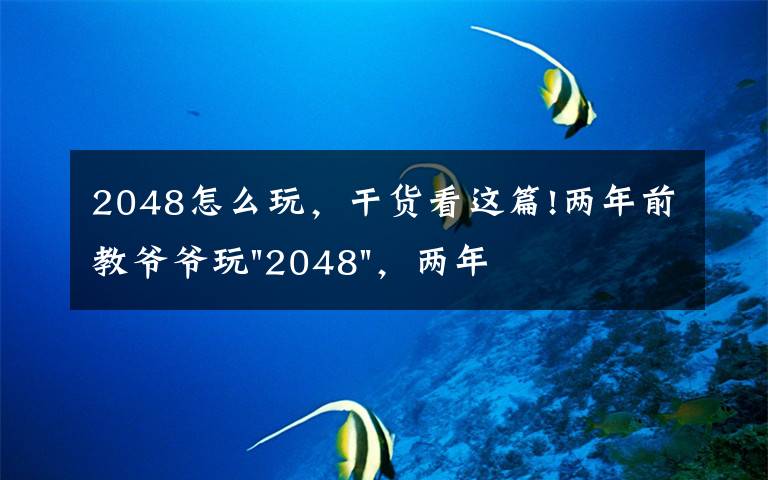 2048怎么玩,干货看这篇!两年前教爷爷玩"2048",两年后成绩最高分:四千多万……