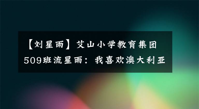 【刘星雨】艾山小学教育集团509班流星雨：我喜欢澳大利亚的“鱼汤饭”