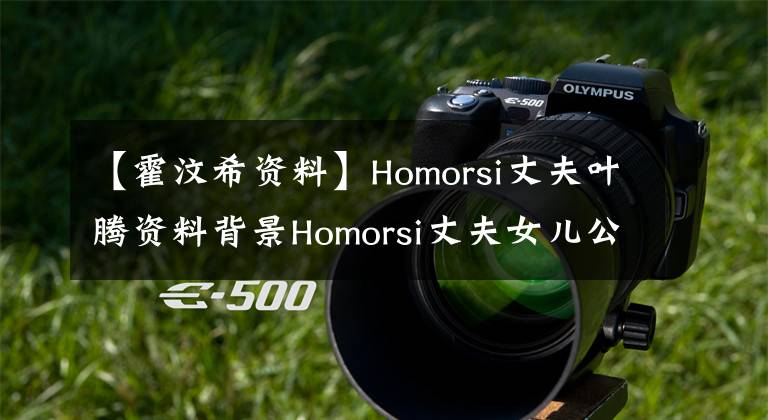 【霍汶希资料】Homorsi丈夫叶腾资料背景Homorsi丈夫女儿公开了Homorsi个人资料。