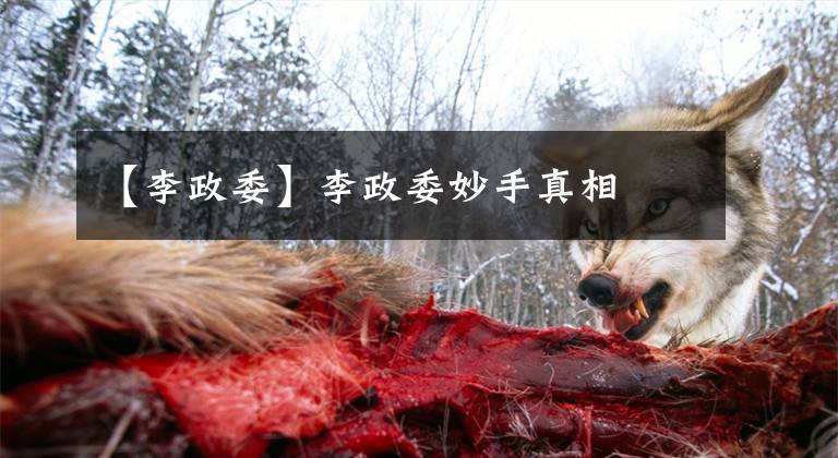 【李政委】李政委妙手真相