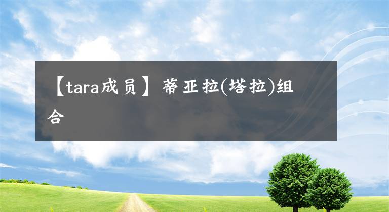 【tara成员】蒂亚拉(塔拉)组合