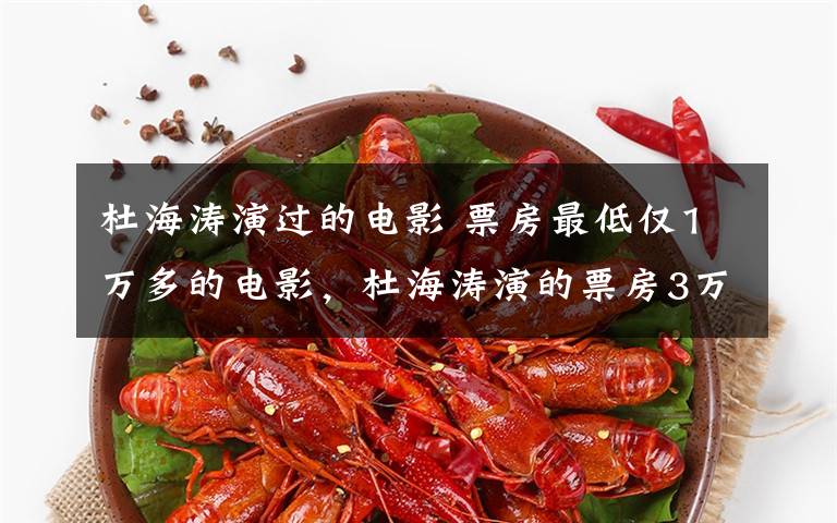 杜海涛演过的电影 票房最低仅1万多的电影,杜海涛演的票房3万3,这能叫电影么?