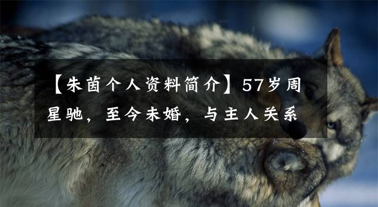 【朱茵个人资料简介】57岁周星驰，至今未婚，与主人关系的关系成为很多遗憾，表示过结婚的意向吗？