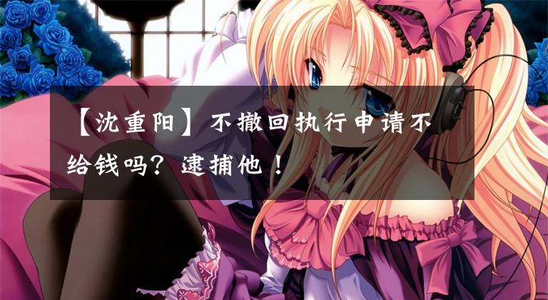 【沈重阳】不撤回执行申请不给钱吗？逮捕他！