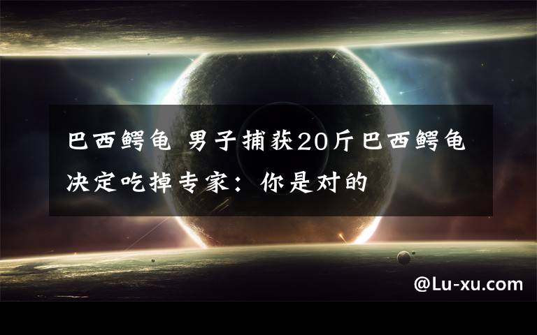 巴西鳄龟 男子捕获20斤巴西鳄龟决定吃掉专家:你是对的