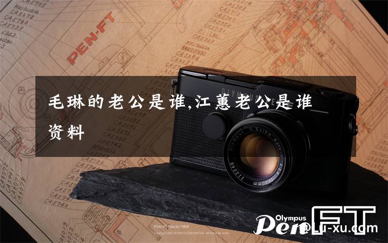 毛琳的老公是谁,江蕙老公是谁 资料