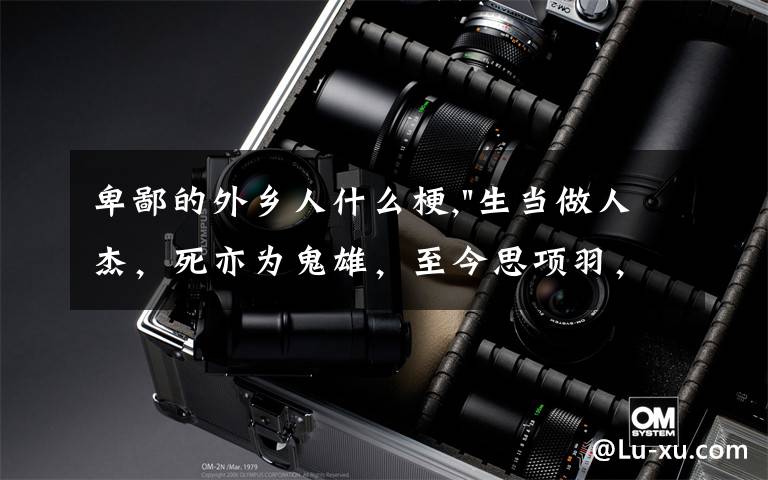 卑鄙的外乡人什么梗,