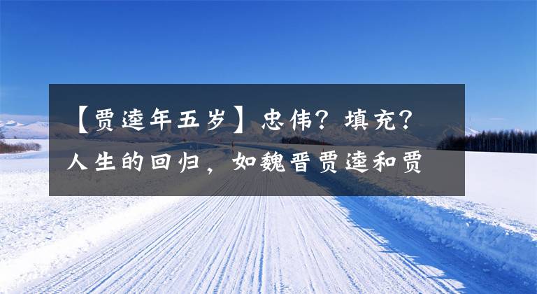 【贾逵年五岁】忠伟?填充?人生的回归,如魏晋贾逵和贾冲父子的其他利益