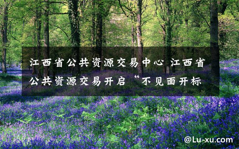 江西省公共资源交易中心 江西省公共资源交易开启“不见面开标”