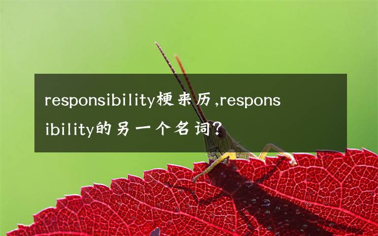 responsibility梗来历,responsibility的另一个名词?