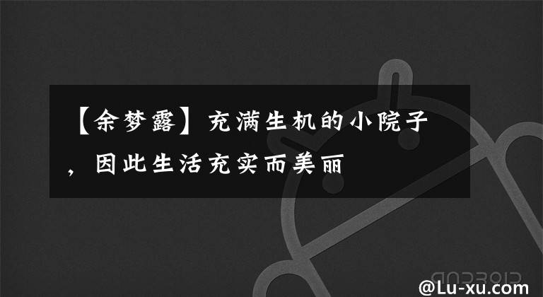 【余梦露】充满生机的小院子,因此生活充实而美丽