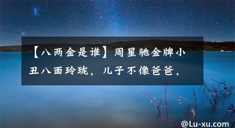 【八两金是谁】周星驰金牌小丑八面玲珑，儿子不像爸爸，像女人一样漂亮