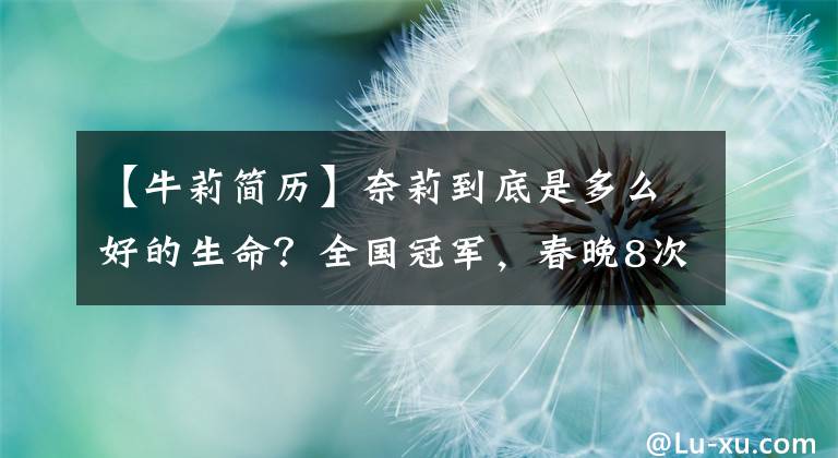 【牛莉简历】奈莉到底是多么好的生命?全国冠军,春晚8次,淡出圈,嫁给了有钱人