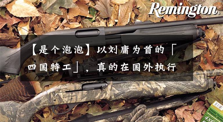 【是个泡泡】以刘庸为首的「四国特工」，真的在国外执行秘密任务吗？