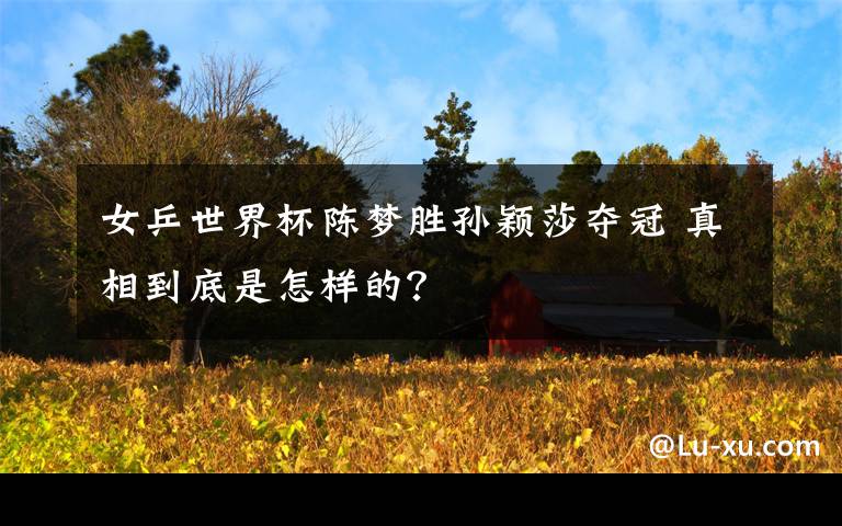 女乒世界杯陈梦胜孙颖莎夺冠 真相到底是怎样的?