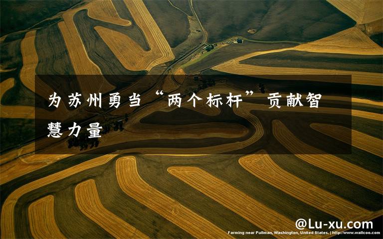 为苏州勇当“两个标杆”贡献智慧力量