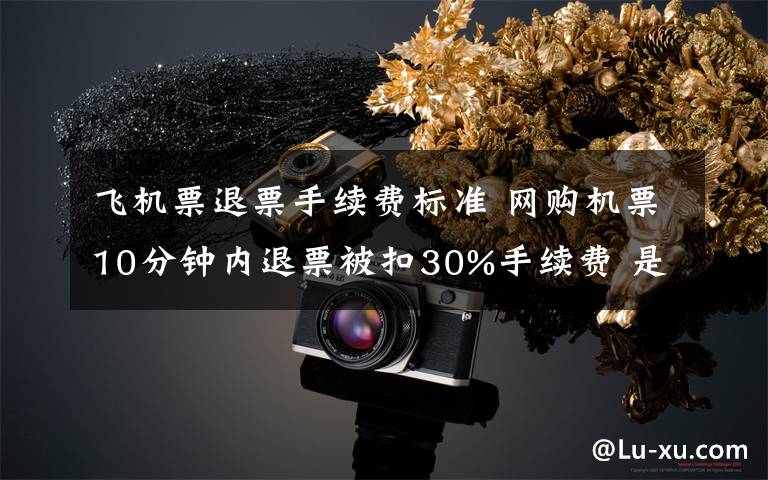 飞机票退票手续费标准 网购机票10分钟内退票被扣30%手续费 是否合理?