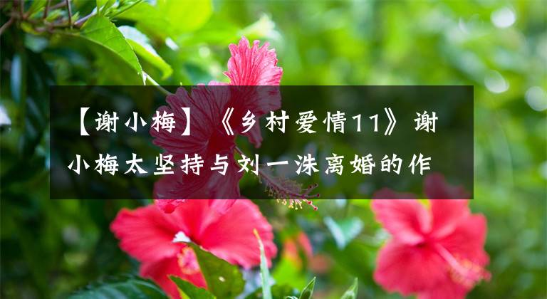 【谢小梅】《乡村爱情11》谢小梅太坚持与刘一洙离婚的作家太故意了。