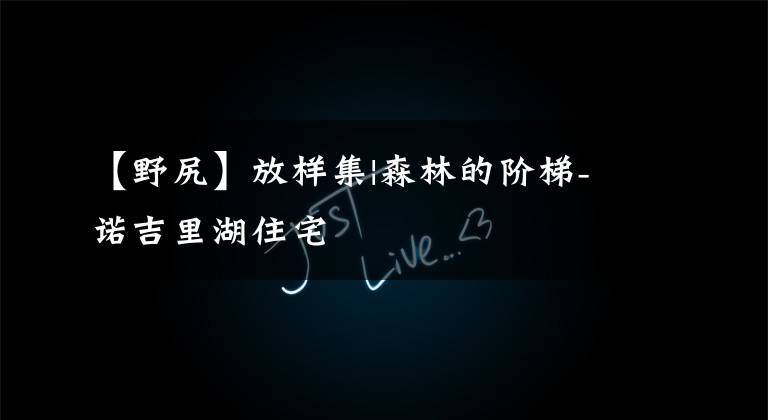 【野尻】放样集|森林的阶梯-诺吉里湖住宅