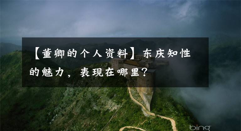 【董卿的个人资料】东庆知性的魅力,表现在哪里?