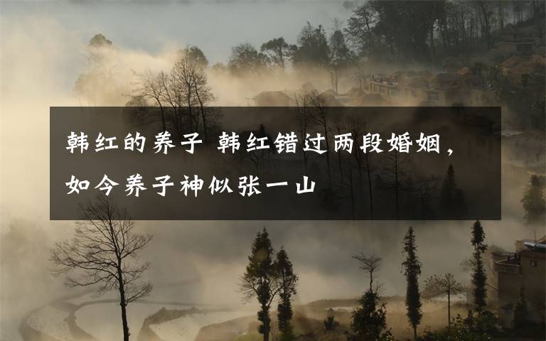 韩红的养子 韩红错过两段婚姻,如今养子神似张一山