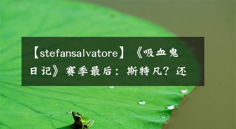【stefansalvatore】《吸血鬼日记》赛季最后:斯特凡?还是达蒙?