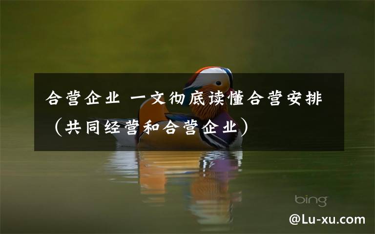 合营企业 一文彻底读懂合营安排(共同经营和合营企业)
