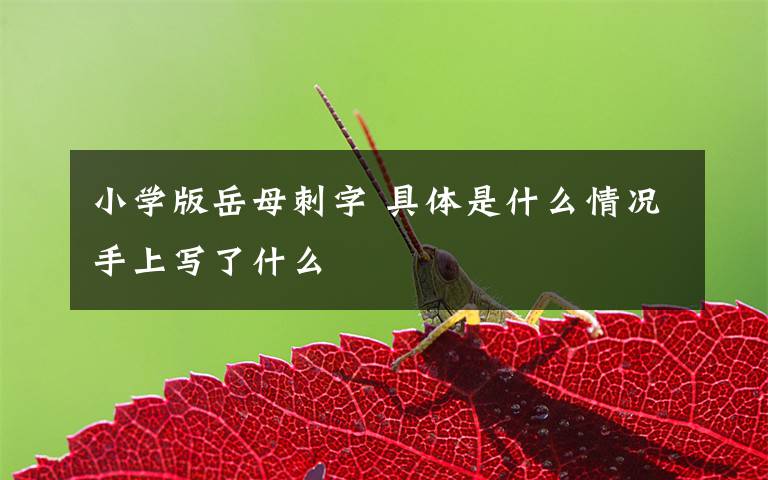 小学版岳母刺字 具体是什么情况手上写了什么