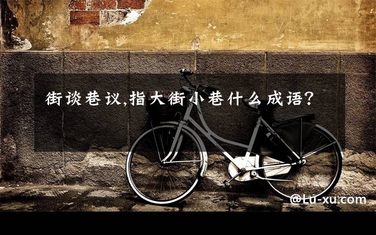 街谈巷议,指大街小巷什么成语？