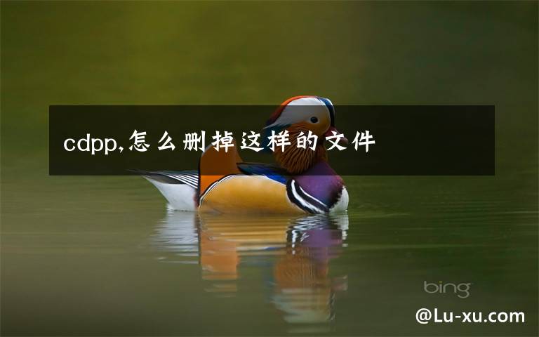 cdpp,怎么删掉这样的文件