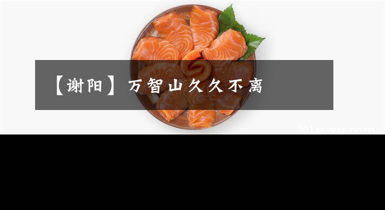 【谢阳】万智山久久不离