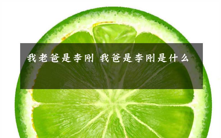 我老爸是李刚 我爸是李刚是什么