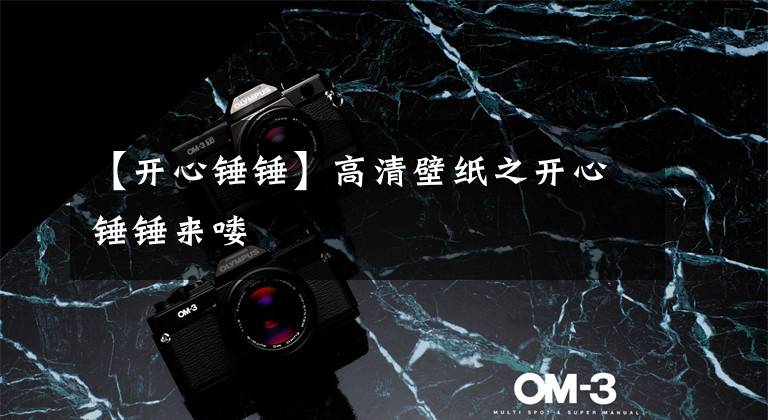 【开心锤锤】高清壁纸之开心锤锤来喽