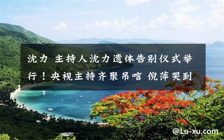 沈力 主持人沈力遗体告别仪式举行!央视主持齐聚吊唁 倪萍哭到不能自已需人搀扶