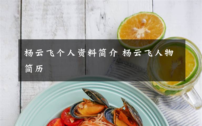 杨云飞个人资料简介 杨云飞人物简历